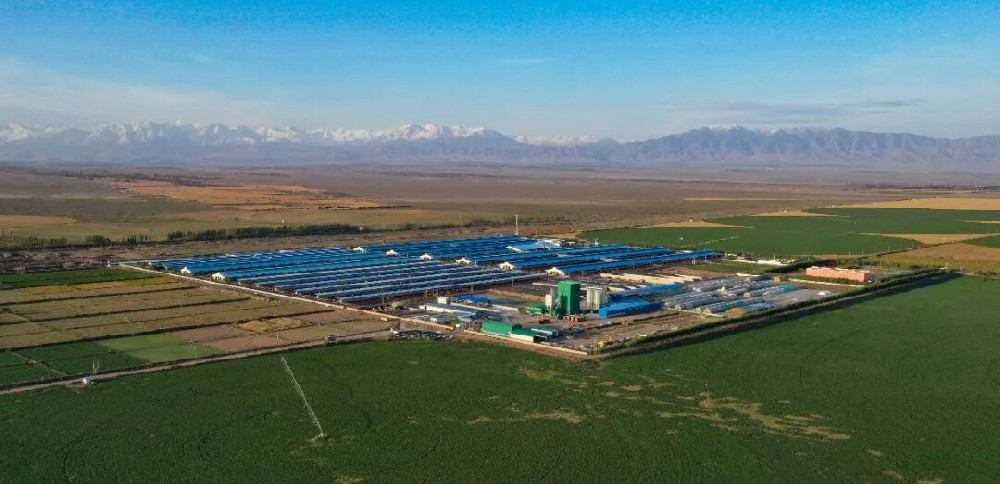 甘肃前进集团:以恒心向阳而行