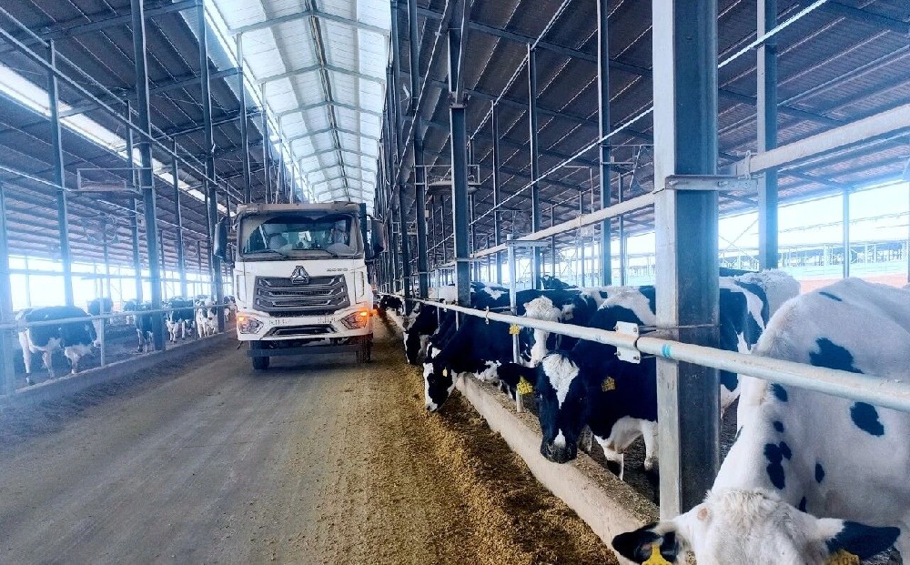 寒风里藏着的“暖”心事