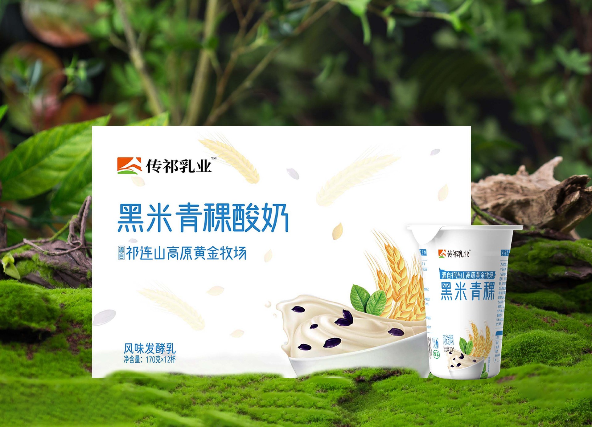 微信图片_20250423084726.jpg